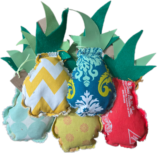 Pineapple Dri Bag
